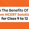NCERT Solutions For Class 9 To 12