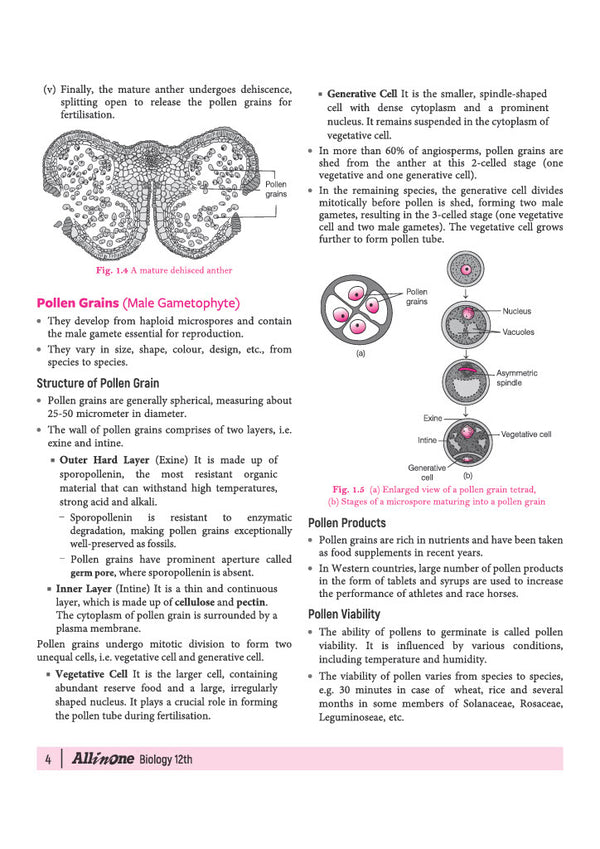 All in One Biology Class 12 for CBSE Exam 2026-27 | NCERT Based Complete Theory, Practice Exercises, CBQs, A-R, Sample Papers & Mind Maps | Revised Edition as per Latest Syllabus