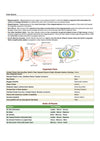 Prime Notes BPSC Prelims Geography (Covers Bihar Specific Topics) | Complete Syllabus Coverage, Based on PYQs with Crisp Notes for Quick Revision