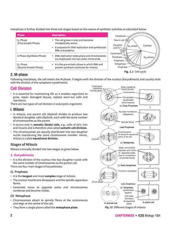 ICSE Biology Class 10 Question Bank for Exam 2027 | 26 Years Chapterwise & Topicwise PYQs (2026–2001) with Detailed Step-by-Step Answers, Examiner's Comments, Smart Tips & 3 Sample Papers