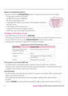 CBSE Social Science Class 10 Chapterwise Question Bank for Board Exam 2027 | 1Chapterwise PYQs with Revision Theory, Detailed Solutions, Exam Tips & Sample Papers as per Latest CBSE Syllabus & Exam Pattern