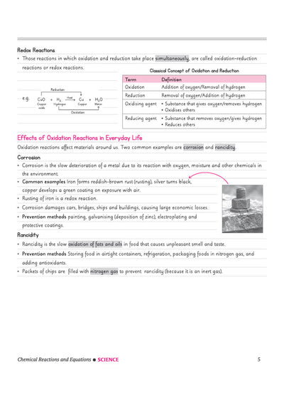 CBSE Science Class 10 Chapterwise Question Bank for Board Exam 2027 | 1Chapterwise PYQs with Revision Theory, Detailed Solutions, Exam Tips & Sample Papers as per Latest CBSE Syllabus & Exam Pattern