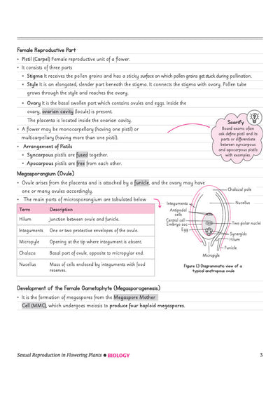 CBSE Biology Class 12 Chapterwise Question Bank for Board Exam 2027 | PYQs with Revision Theory, Detailed Solutions, Exam Tips & Sample Papers as per Latest CBSE Syllabus & Exam Pattern