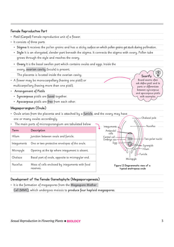 CBSE Biology Class 12 Chapterwise Question Bank for Board Exam 2027 | PYQs with Revision Theory, Detailed Solutions, Exam Tips & Sample Papers as per Latest CBSE Syllabus & Exam Pattern