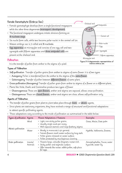 CBSE Biology Class 12 Chapterwise Question Bank for Board Exam 2027 | PYQs with Revision Theory, Detailed Solutions, Exam Tips & Sample Papers as per Latest CBSE Syllabus & Exam Pattern