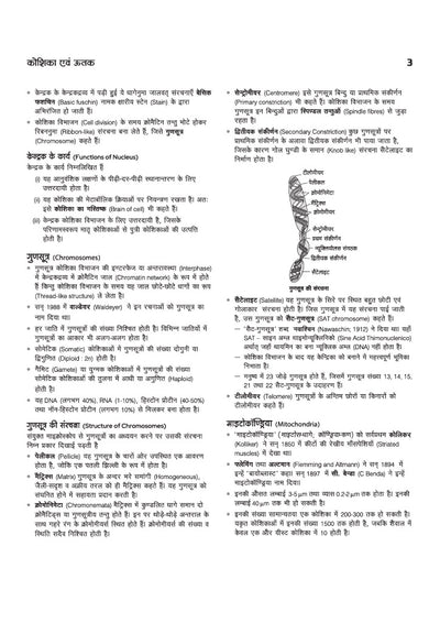 Nursing Guide 2027 | Complete Study Guide for B.Sc Nursing, AIIMS, NORCET, RRB, ESIC & CHO | Based on Latest Exam Pattern & Syllabus | Chapterwise Theory, Previous Year Questions & Important Coloured Appendices | Hindi Medium
