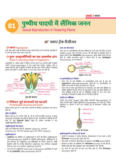 Avtar UP Board Jeev Vigyan (Biology) Class 12 Exam 2027 | Chapterwise Question Bank | 5 Board-Style Practice Papers | 5 Years Unsolved Papers | Based on NCERT & NEP 2020