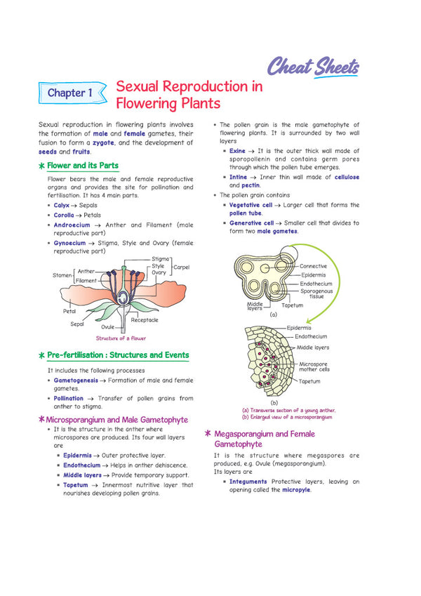 i-Succeed ISC 10 Sample Question Papers Class 12 Biology Exam 2027 | Colour-Coded Revision Cheat Sheets, Council Style Detailed Answers, Mind Maps for Last Minute Revision | Based on ISC Syllabus 2027
