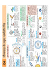 UPSC & State PSC Prelims Bhugol (Geography) | Pixel 1-Pager Revision Notes | Fast Revision, Entire Prelims GS in 1-Page Format, Concept & Fact Infographics with PYQ-Based Preparation