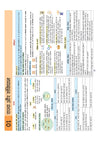 UPSC & State PSC Prelims Bhartiye Rajvyavastha (Indian Polity) | Pixel 1-Pager Revision Notes | Fast Revision, Entire Prelims GS in 1-Page Format, Concept & Fact Infographics with PYQ-Based Preparation