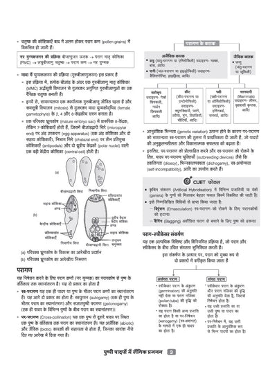 CUET UG 2027 Jeev Vigyan (Biology) | Chapterwise Notes & Question Bank | 1000+ MCQs, 5 Final Drills & CUET 2026 Solved Paper | Flash Cards | Free Online Mock Test