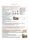 Prime Notes UPPSC Prelims Ancient & Medieval History | Covers Uttar Pradesh Specific Topics) | PYQ-Based Crisp Notes for Quick Revision | Complete Syllabus Coverage for UPSC Prelims