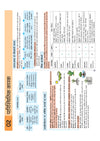 UPSC & State PSC Prelims Paryavaran (Environment) | Pixel 1-Pager Revision Notes | Fast Revision, Entire Prelims GS in 1-Page Format, Concept & Fact Infographics with PYQ-Based Preparation