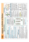 UPSC & State PSC Prelims Paryavaran (Environment) | Pixel 1-Pager Revision Notes | Fast Revision, Entire Prelims GS in 1-Page Format, Concept & Fact Infographics with PYQ-Based Preparation