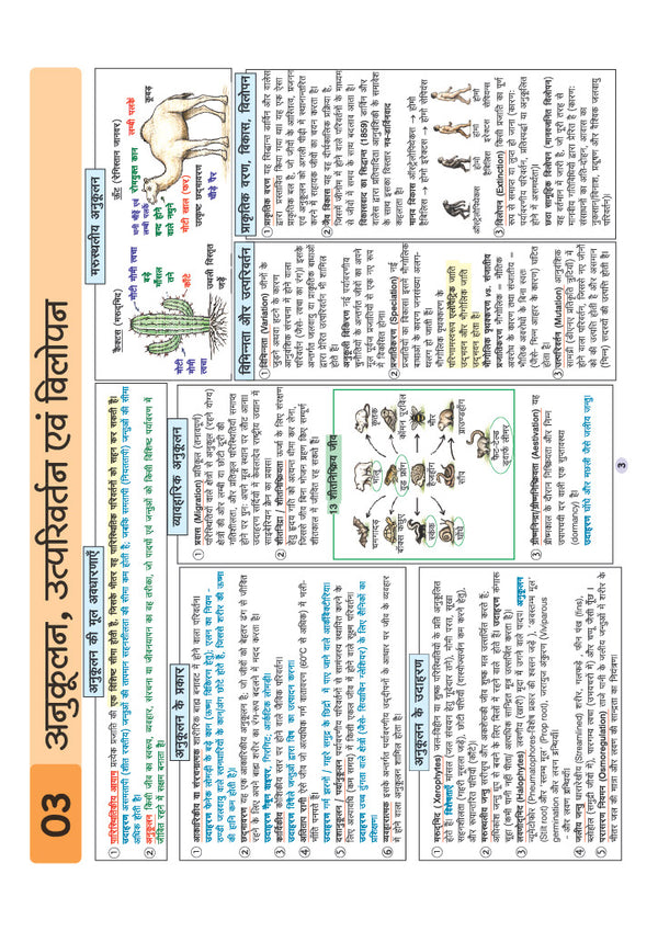 UPSC & State PSC Prelims Paryavaran (Environment) | Pixel 1-Pager Revision Notes | Fast Revision, Entire Prelims GS in 1-Page Format, Concept & Fact Infographics with PYQ-Based Preparation