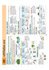 UPSC & State PSC Prelims Paryavaran (Environment) | Pixel 1-Pager Revision Notes | Fast Revision, Entire Prelims GS in 1-Page Format, Concept & Fact Infographics with PYQ-Based Preparation