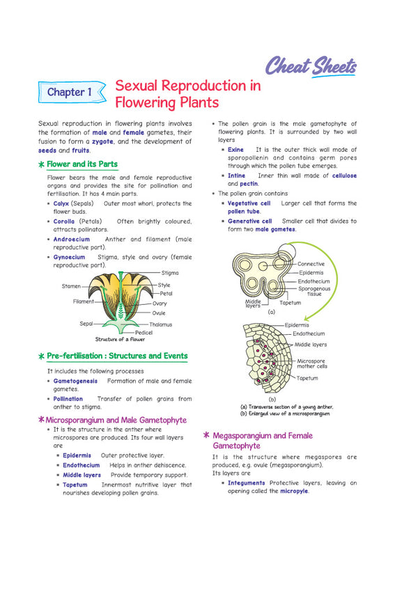 i-Succeed CBSE 15 Sample Question Papers Class 12 Biology Exam 2027 | Colour-Coded Revision Cheat Sheets, Toppers Copy with Expert Insights | FREE SUPER POWER KIT | Based on Latest CBSE SQP Released 21 Sept 2026