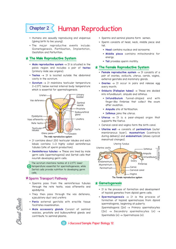 i-Succeed CBSE 15 Sample Question Papers Class 12 Biology Exam 2027 | Colour-Coded Revision Cheat Sheets, Toppers Copy with Expert Insights | FREE SUPER POWER KIT | Based on Latest CBSE SQP Released 21 Sept 2026