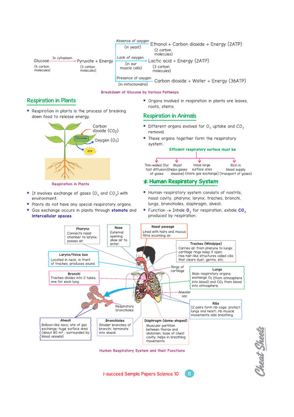 i-Succeed CBSE 15 Sample Question Papers Class 10 Science Exam 2027 | Colour-Coded Revision Cheat Sheets, Toppers Copy with Expert Insights | FREE SUPER POWER KIT | Based on Latest CBSE SQP Released 21 Sept 2026