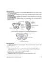 Exam Master Biology Class 12 for ASSEB Division-II Exam 2027 | Chapterwise & Topicwise Coverage of Complete Syllabus, Board Questions (2026–2009), Model Question Bank Solutions & Sample Papers
