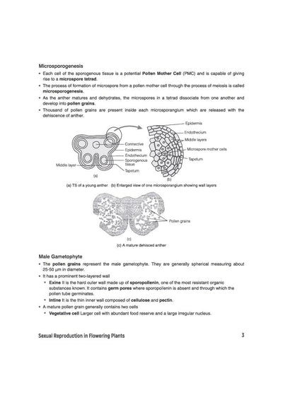 Exam Master Biology Class 12 for ASSEB Division-II Exam 2027 | Chapterwise & Topicwise Coverage of Complete Syllabus, Board Questions (2026–2009), Model Question Bank Solutions & Sample Papers