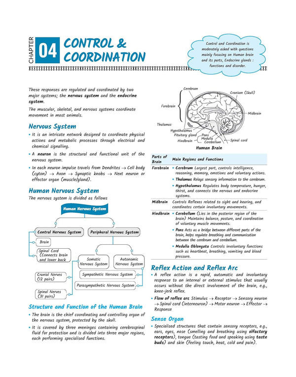 RRB Group-D (Level 1) Computer Based Test 2026 | Complete Study Package | Based on Latest Exam Pattern | English Medium