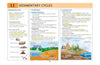 UPSC Prelims Environment | Pixel 1-Pager Revision Notes | Fast Revision, Entire Prelims GS in 1-Page Format, Concept & Fact Infographics with PYQ-Based Preparation