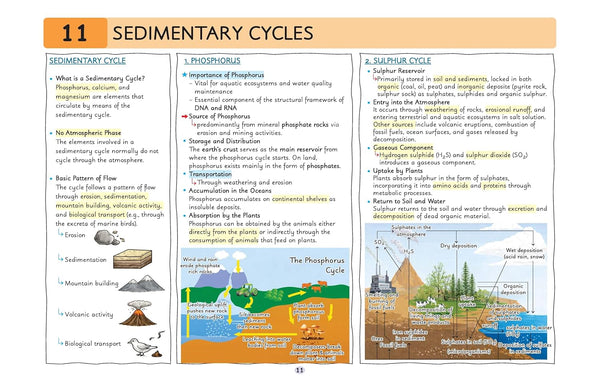 UPSC Prelims Environment | Pixel 1-Pager Revision Notes | Fast Revision, Entire Prelims GS in 1-Page Format, Concept & Fact Infographics with PYQ-Based Preparation