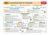 UPSC Prelims History | Pixel 1-Pager Revision Notes | Fast Revision, Entire Prelims GS in 1-Page Format, Concept & Fact Infographics with PYQ-Based Preparation