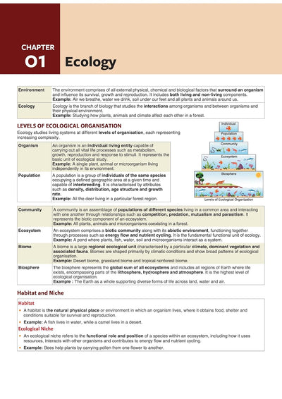 Prime Notes BPSC PrelimsArt & Culture and Environment (Covers Bihar Specific Topics) | Complete Syllabus Coverage, Based on PYQs with Crisp Notes for Quick Revision