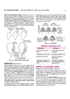 UP Board 2026-27 Complete Course Biology (Jeev Vigyan) Class 12 | Based on NCERT Textbook | NEP 2020 | Chapter Tests, Topic Tests, Model Papers with OMR Sheet & Project Work Included | Hindi Medium