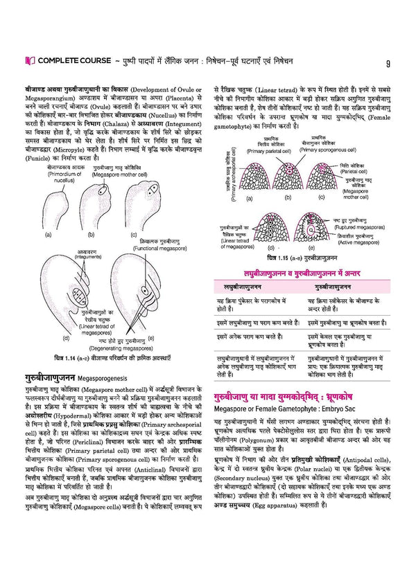 UP Board 2026-27 Complete Course Biology (Jeev Vigyan) Class 12 | Based on NCERT Textbook | NEP 2020 | Chapter Tests, Topic Tests, Model Papers with OMR Sheet & Project Work Included | Hindi Medium