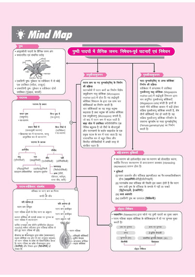 UP Board 2026-27 Complete Course Biology (Jeev Vigyan) Class 12 | Based on NCERT Textbook | NEP 2020 | Chapter Tests, Topic Tests, Model Papers with OMR Sheet & Project Work Included | Hindi Medium