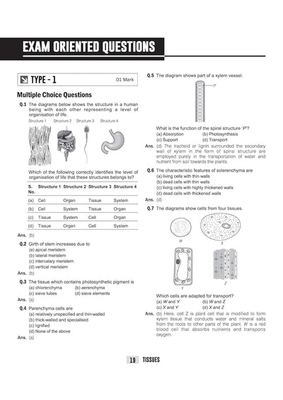 ICSE Biology Class 9 Exam Book | Quick Theory, Exam Pattern Questions & Sample Papers | As per Latest ICSE Syllabus | Que Bee 2nd Edition