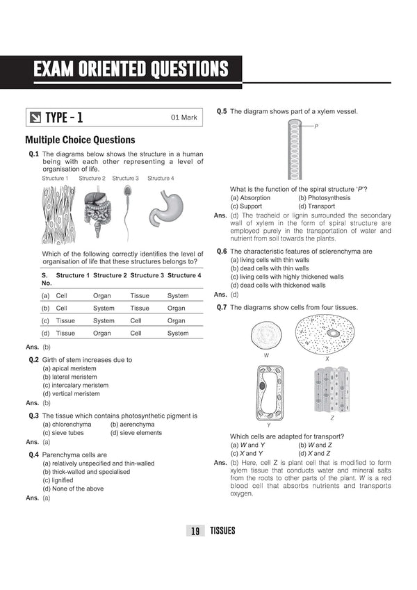 ICSE Biology Class 9 Exam Book | Quick Theory, Exam Pattern Questions & Sample Papers | As per Latest ICSE Syllabus | Que Bee 2nd Edition