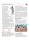 UP Board 2026-27 Complete Course Alekhan Kala Class 12 | Based on NCERT Textbook | NEP 2020 | Chapter Tests, Topic Tests, Model Papers with OMR Sheet & Project Work Included | Hindi Medium