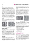 UP Board 2026-27 Complete Course Home Science (Grah Vigyan) Class 12 | Based on NCERT Textbook | NEP 2020 | Chapter Tests, Topic Tests, Model Papers with OMR Sheet & Project Work Included | Hindi Medium