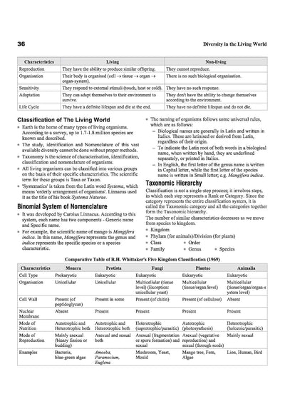 Study Guide JHTET 2026 (Jharkhand Teacher Eligibility Test) | Class 6–8 Uppar Primary Teacher - Maths & Science | Based on Latest Exam Pattern (26 March 2026)