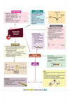 CBSE Class 10 Science Map Chat mind map page on Domestic Circuit covering Direct Current DC, Alternating Current AC, Wires in Household Wiring, Short Circuiting, and Safety Measures like Fuse and Earth Wire