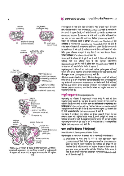 UP Board 2026-27 Complete Course Biology (Jeev Vigyan) Class 12 | Based on NCERT Textbook | NEP 2020 | Chapter Tests, Topic Tests, Model Papers with OMR Sheet & Project Work Included | Hindi Medium