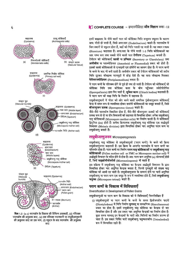 UP Board 2026-27 Complete Course Biology (Jeev Vigyan) Class 12 | Based on NCERT Textbook | NEP 2020 | Chapter Tests, Topic Tests, Model Papers with OMR Sheet & Project Work Included | Hindi Medium