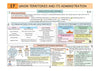 UPSC Prelims Polity | Pixel 1-Pager Revision Notes | Fast Revision, Entire Prelims GS in 1-Page Format, Concept & Fact Infographics with PYQ-Based Preparation