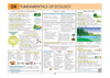 UPSC Prelims Environment | Pixel 1-Pager Revision Notes | Fast Revision, Entire Prelims GS in 1-Page Format, Concept & Fact Infographics with PYQ-Based Preparation