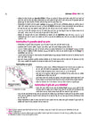 All in One History Class 11 Practice Questions CBSE NCERT