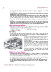 All in One History Class 11 Mind Maps CBSE NCERT