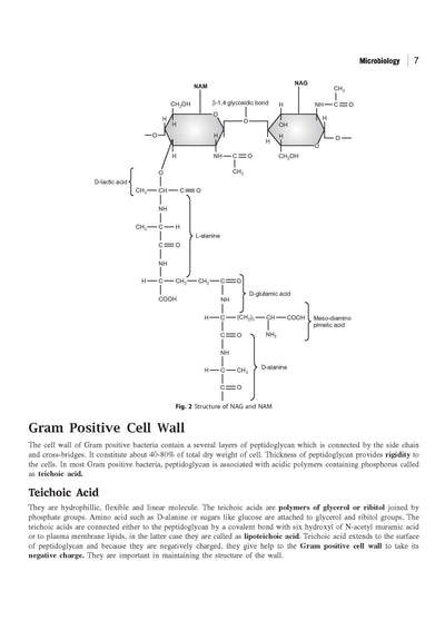 GATE Tutor 2027 Biotechnology | Solved Papers 2023–2026 & 3 Mock Tests | Complete ECE Preparation Book | Pfo. BM Agarwal, Akansha Singhal, Vidhika Goel
