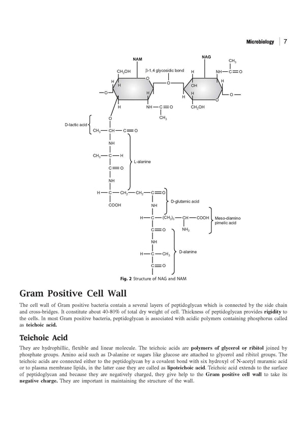 GATE Tutor 2027 Biotechnology | Solved Papers 2023–2026 & 3 Mock Tests | Complete ECE Preparation Book | Pfo. BM Agarwal, Akansha Singhal, Vidhika Goel